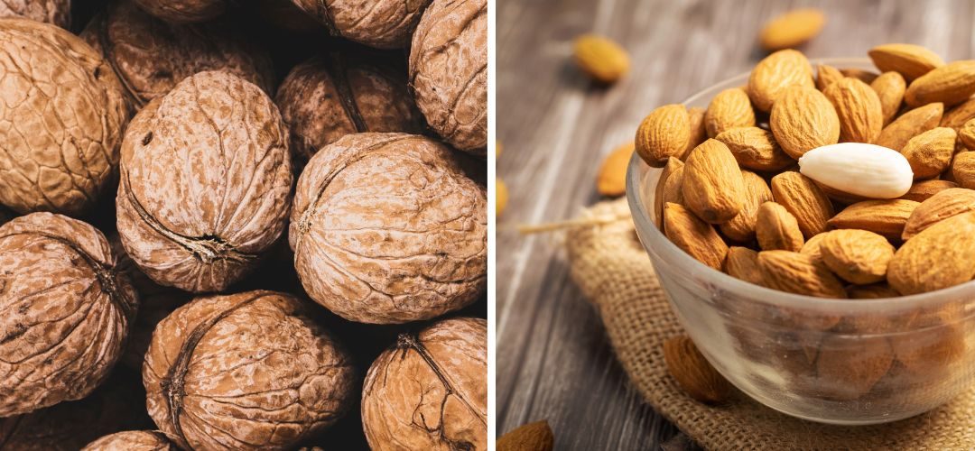 Productores alemanes comienzan a plantar almendras y nueces en reemplazo de ciruelas y cerezas