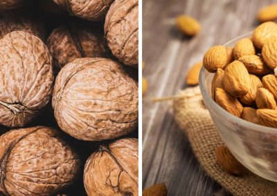 Productores alemanes comienzan a plantar almendras y nueces en reemplazo de ciruelas y cerezas