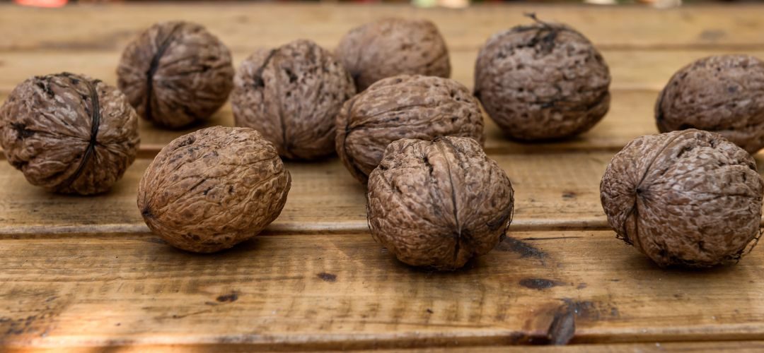 INC/Nueces con Cáscara: Temporada 2026 proyecta caída en la producción de China (-3%), alza en EE.UU. (34%) y Chile (30%) se proyecta en 175 mil toneladas