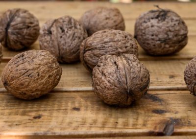 INC/Nueces con Cáscara: Temporada 2026 proyecta caída en la producción de China (-3%), alza en EE.UU. (34%) y Chile (30%) se proyecta en 175 mil toneladas