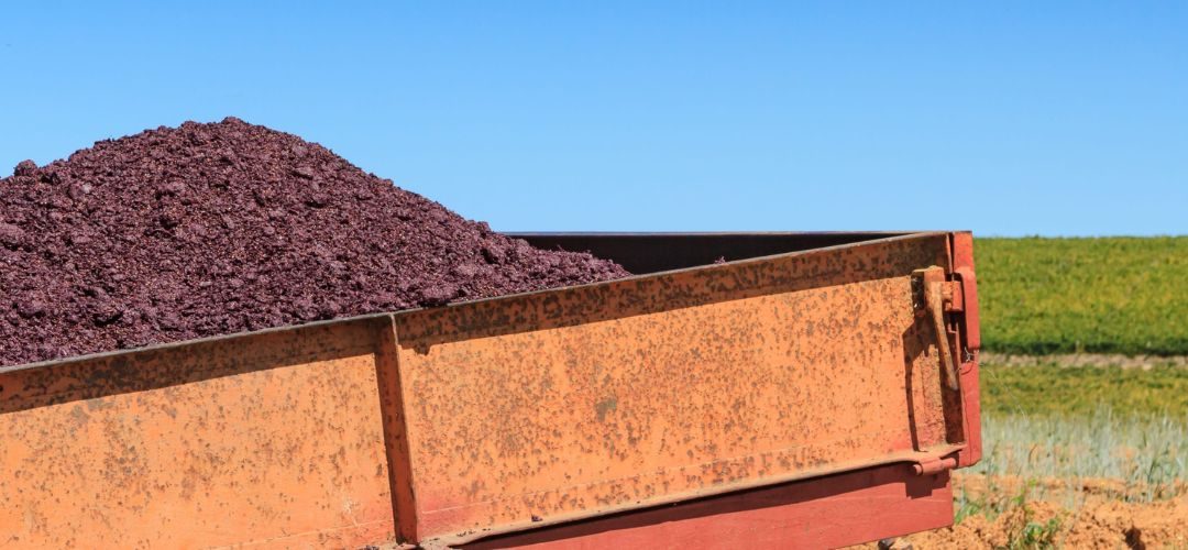 Ventas del orujo de uva para la agroindustria y alimentos funcionales alcanzarán US$ 2,1 billones al año 2033