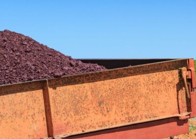 Ventas del orujo de uva para la agroindustria y alimentos funcionales alcanzarán US$ 2,1 billones al año 2033