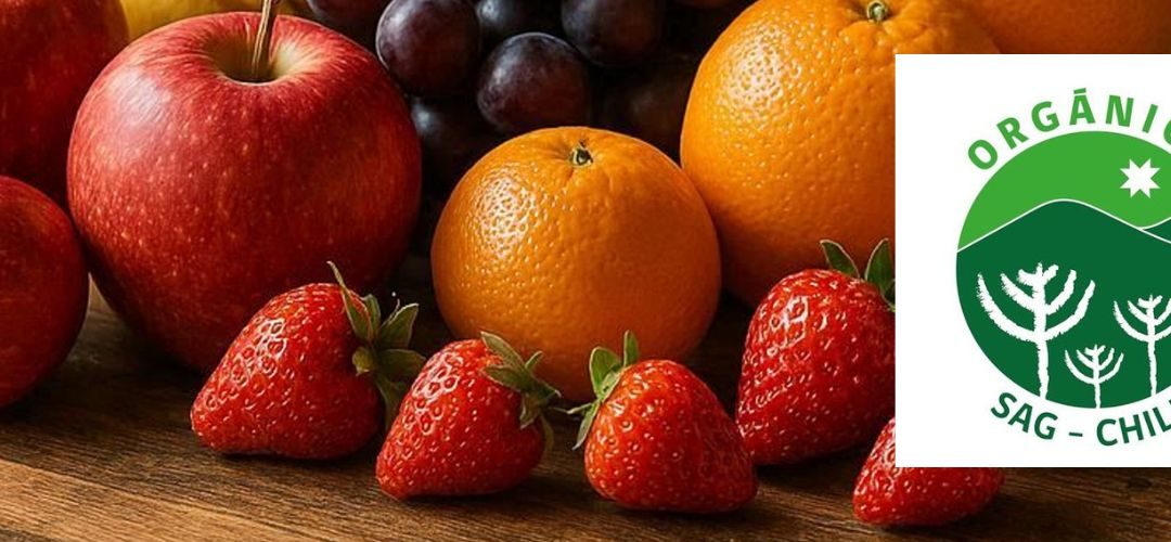 Orgánicos: Unión Europea otorga vigencia indefinida al acuerdo de equivalencia con Chile