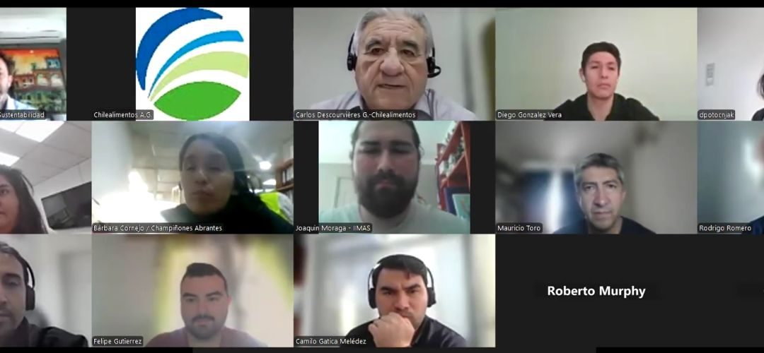 Chilealimentos realiza taller «Descarbonización de la Agroindustria: de la Medición de la Huella a la Certificación de Energías» en el marco del proyecto Acuerdo de Producción Limpia V
