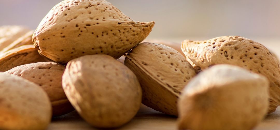 Almendras/California: Exportaciones crecen 26% a la Unión Europea, mientras caen envíos acumulados a India (-8%) y China (-39%) a abril 2026