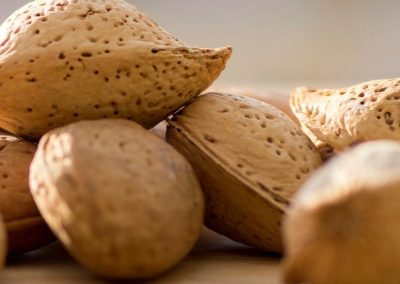 Almendras/California: Exportaciones crecen 26% a la Unión Europea, mientras caen envíos acumulados a India (-8%) y China (-39%) a abril 2026