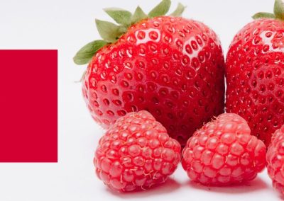 Berries/Marruecos: Campaña 2026 cierra con pérdidas ante problemas climáticos y comerciales
