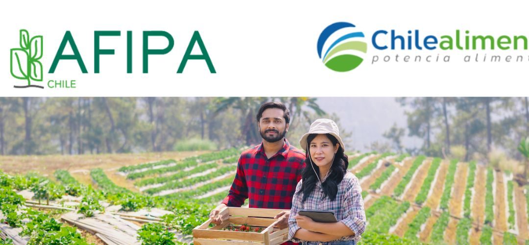 Chilealimentos y AFIPA capacitan a productores del Maule y Ñuble en buen manejo de plaguicidas