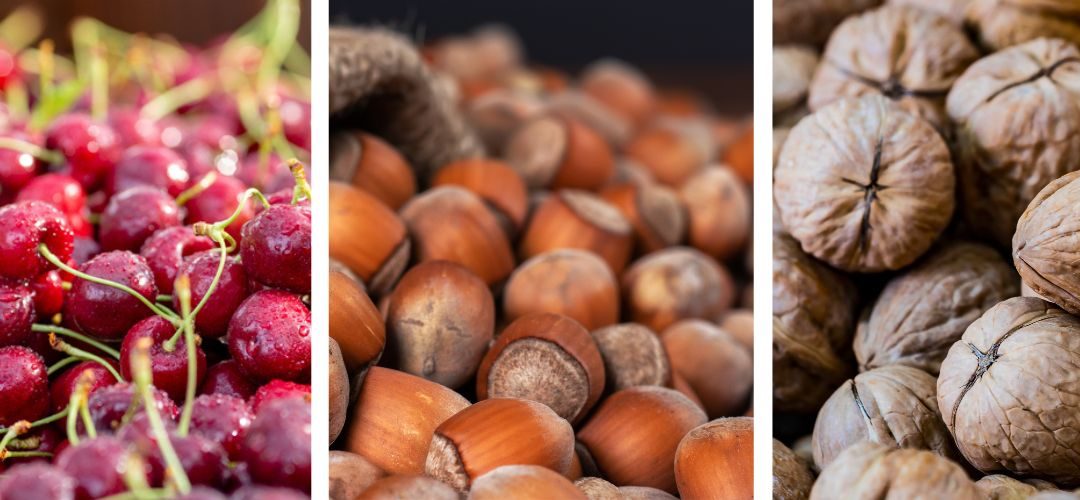Turquía: Primera estimación de cosecha señala aumentos en cerezas (256%), nueces (95%), manzanas (94%), duraznos (89%) y avellanas (62%)