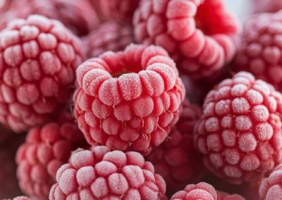 Industria marroquí de berries apuesta por los congelados y su expansión en mercados europeos