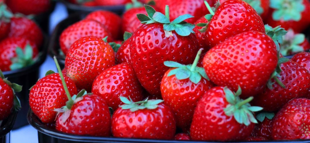 Frutillas: La industria de California proyecta una recuperación productiva para 2026