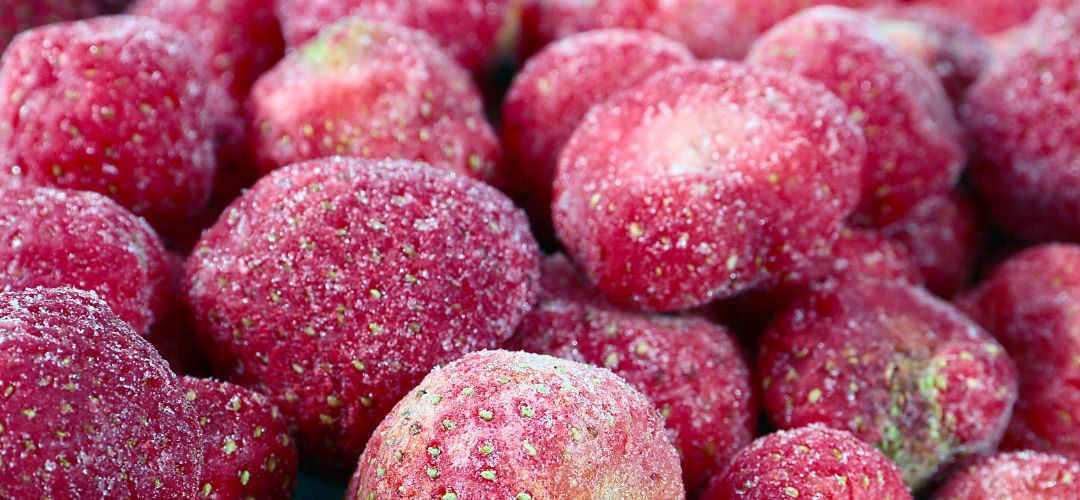 Frutillas Congeladas/Egipto: Sobreoferta, alzas de costos y exigencias regulatorias marcan la temporada 2025/26