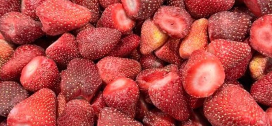 Frutillas Congeladas/Egipto: Se disparan 60% los costos de producción por hectárea y sobreoferta provocará una importante reducción de superficie en 2026