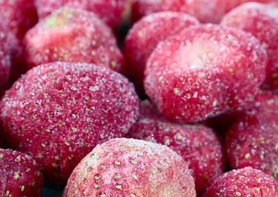 Frutillas Congeladas/Egipto: Sobreoferta, alzas de costos y exigencias regulatorias marcan la temporada 2025/26
