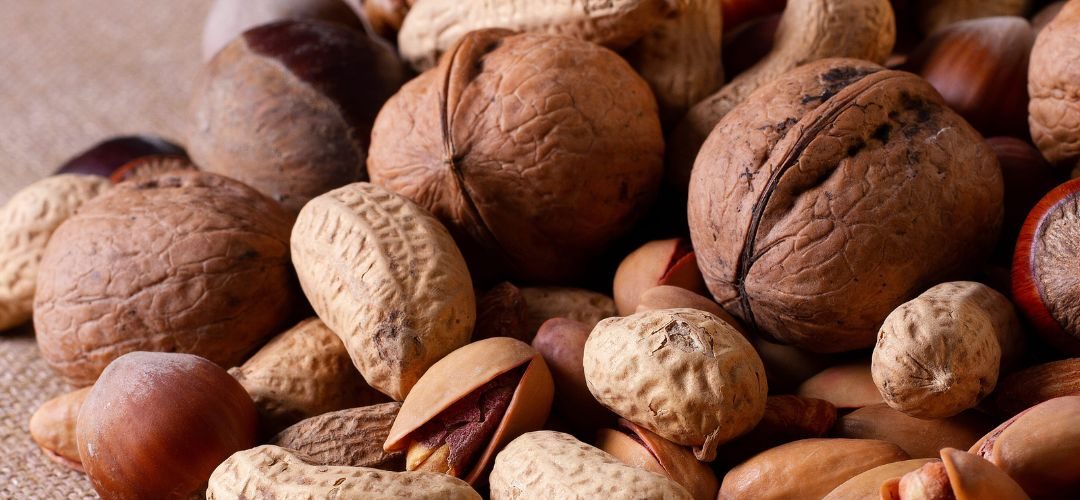 Frutos Secos/China: Envíos al primer trimestre crecen 23% en valor y 14% en volumen