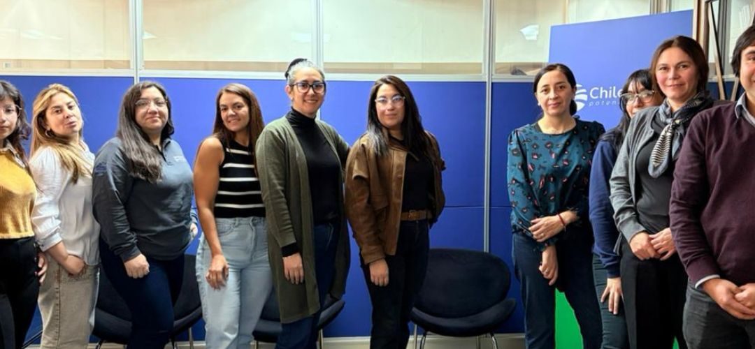 Gestor Inclusivo(a): 8 empresas finalizaron evaluaciones junto a Chilealimentos
