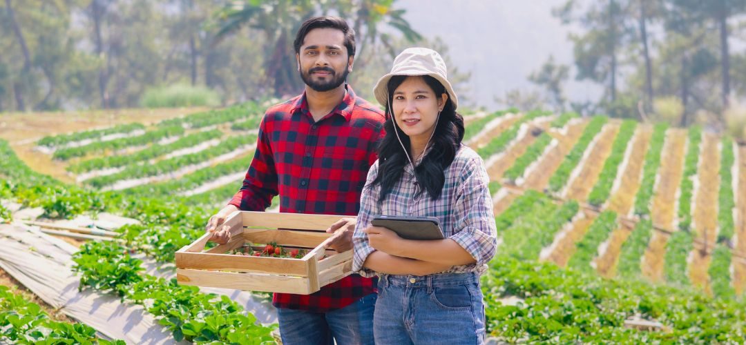 Chilealimentos y AFIPA capacitan a productores del Maule y Ñuble en buen manejo de plaguicidas