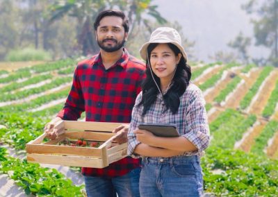 Chilealimentos y AFIPA capacitan a productores del Maule y Ñuble en buen manejo de plaguicidas