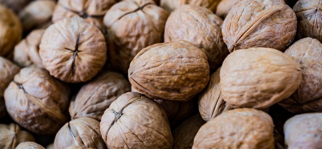 Nueces/Ucrania: Producción cae 10% en los últimos 3 años por envejecimiento de nogales y falta de renovación en huertos