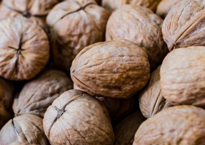 Nueces/Ucrania: Producción cae 10% en los últimos 3 años por envejecimiento de nogales y falta de renovación en huertos
