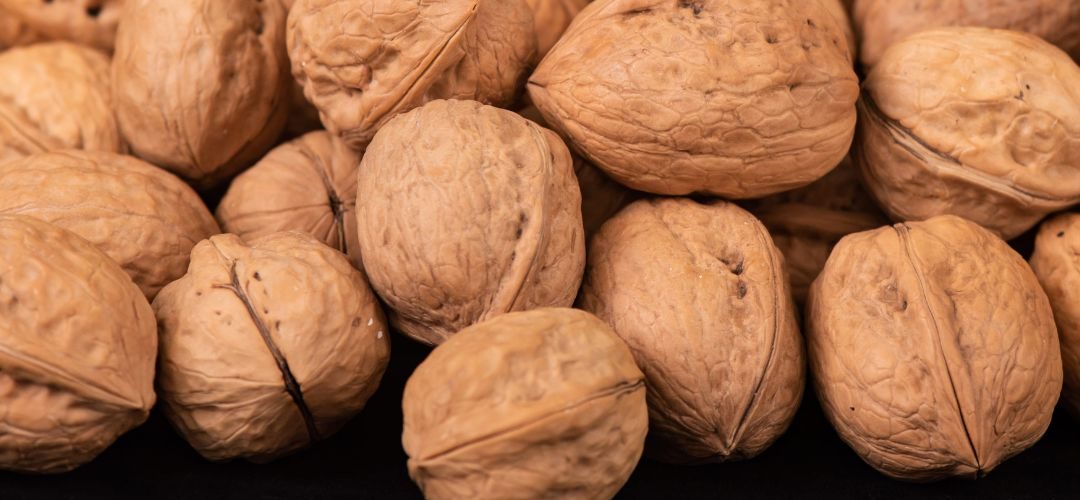 Nueces: Ucrania pierde competitividad en la Unión Europea frente a Estados Unidos, Chile y China