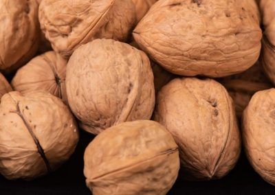 Nueces: Ucrania pierde competitividad en la Unión Europea frente a Estados Unidos, Chile y China