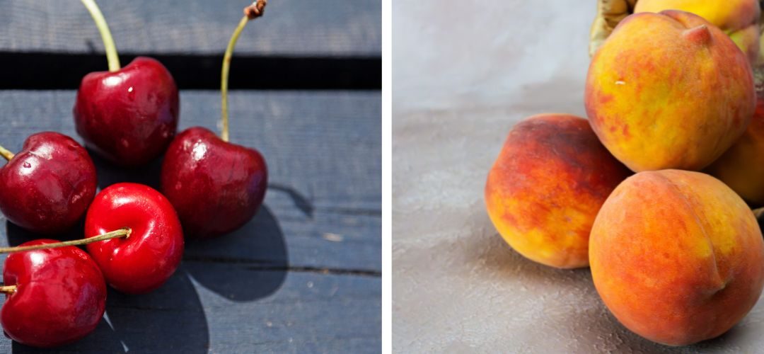 Carozos/Francia: Se pronostica una producción de 234 mil toneladas de duraznos y una producción estable de cerezas para 2026
