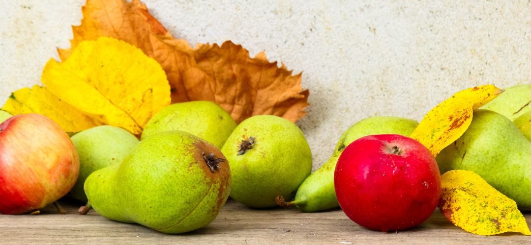 Wapa/Hemisferio Norte: Stock de manzanas al 01 de abril 2026 aumenta 22% y el de peras 30%
