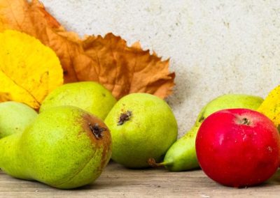 Wapa/Hemisferio Norte: Stock de manzanas al 01 de abril 2026 aumenta 22% y el de peras 30%