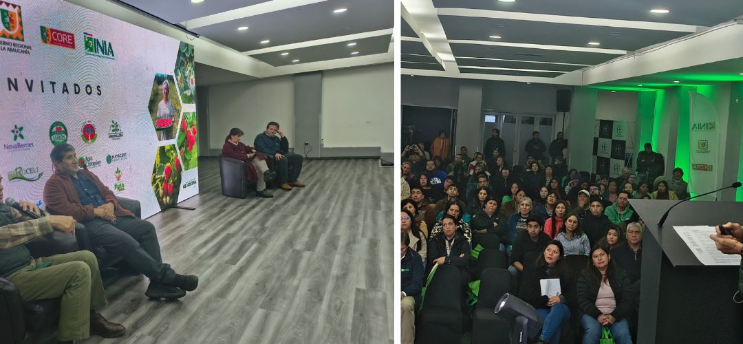 Director de Chilealimentos Antonio Domínguez expuso en seminario de berries realizado en la Araucania