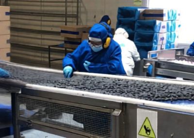 Agroindustria chilena defiende sus estándares internacionales en normas laborales y sustentabilidad ante propuesta de arancel del 12,5% de los Estados Unidos