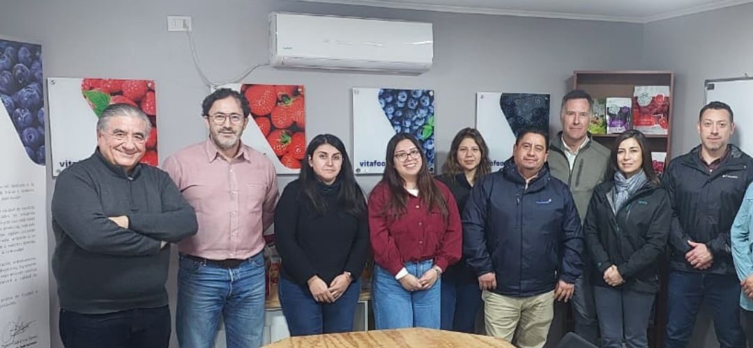 Chilealimentos lidera camino sustentable: Comienzan con éxito auditorías de pre-certificación del APL V