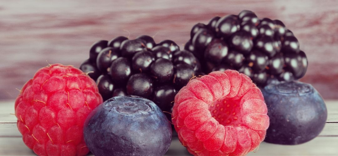 Portugal: Producción de berries se triplica en los últimos 10 años