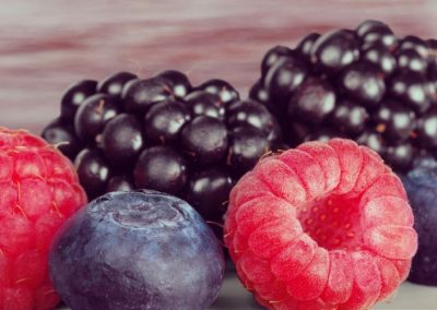 Portugal: Producción de berries se triplica en los últimos 10 años