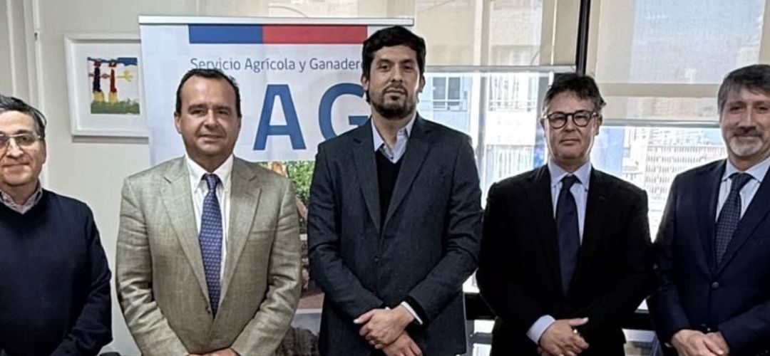 Chilealimentos sostuvo reunión con el Director Nacional del SAG para fortalecer competitividad de la exportaciones agroindustriales chilenas