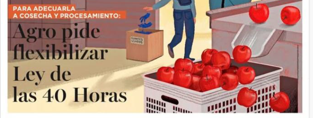 Chilealimentos pide flexibilizar la ley de las 40 horas para el sector agroindustrial