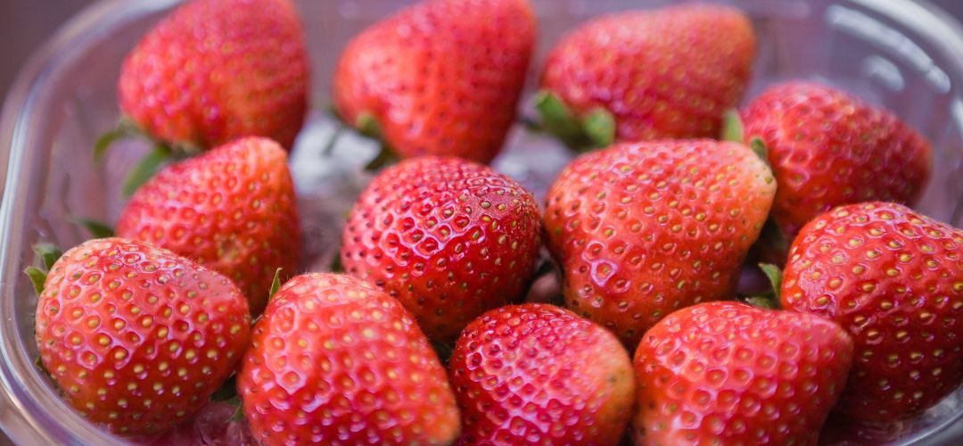 Frutillas/Polonia: A pesar de las heladas sigue siendo el segundo mayor productor europeo, donde casi el 50% se exporta como congelado