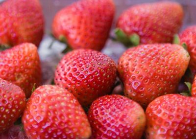 Frutillas/Polonia: A pesar de las heladas sigue siendo el segundo mayor productor europeo, donde casi el 50% se exporta como congelado
