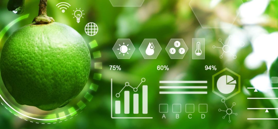 Parlamento Europeo aprueba nuevas reglas para impulsar y acelerar  la innovación genética en la agricultura