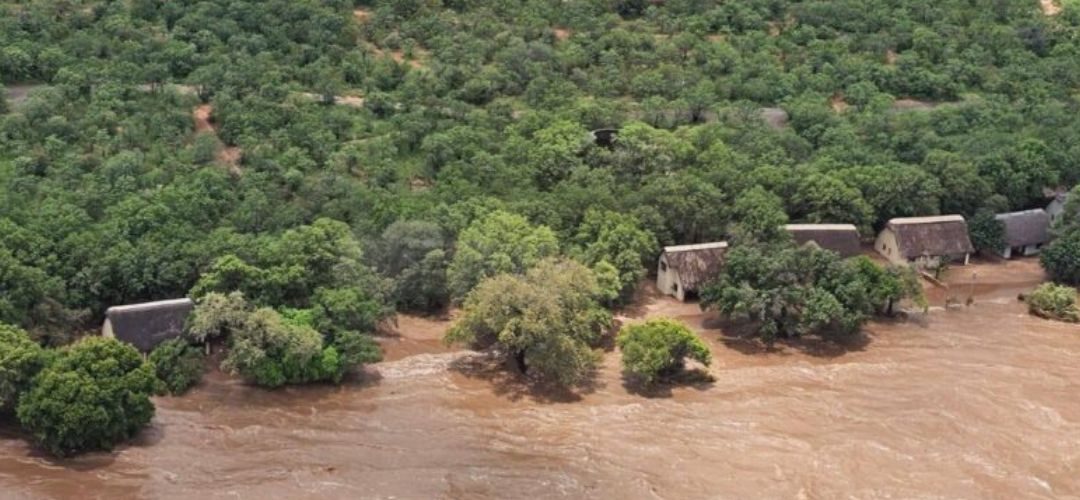 Sudáfrica: Últimas tormentas provocaron daños estimados en US$ 350 millones afectando principalmente pomáceas y carozos