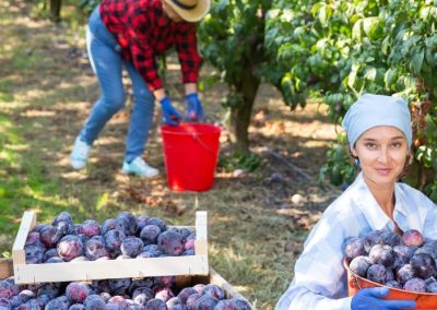 Gobierno Italiano aprueba ayudas a las empresas agrícolas y otros rubros para que reduzcan la actividad laboral por olas de calor