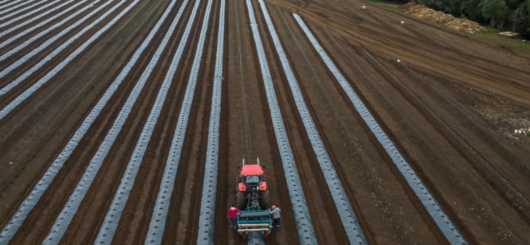 Juan Manuel Mira – Presidente de Chilealimentos: «La Macrozona Sur se ha transformado en un polo estratégico para la agroindustria exportadora de Chile»