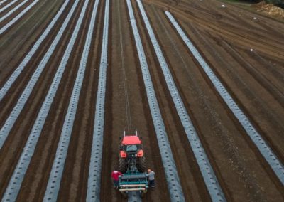 Juan Manuel Mira – Presidente de Chilealimentos: «La Macrozona Sur se ha transformado en un polo estratégico para la agroindustria exportadora de Chile»