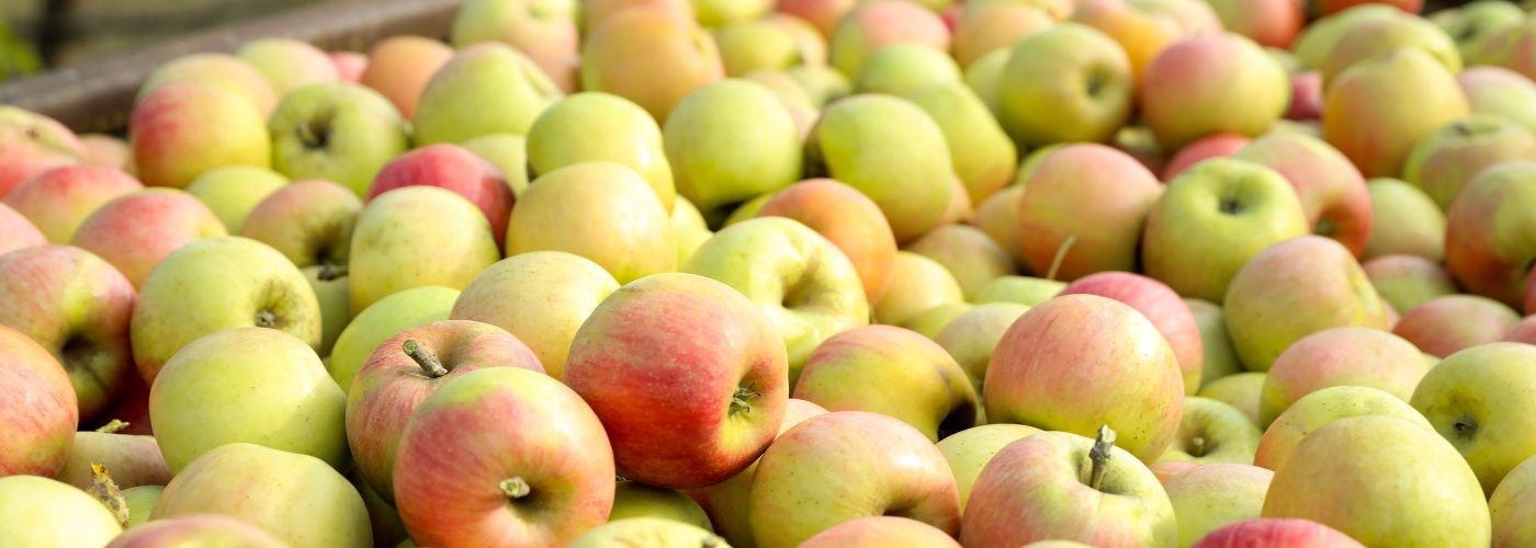 MANZANAS USA