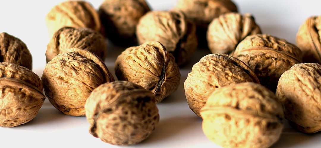 Nueces/California: Envíos a Turquía se han quintuplicado respecto a la temporada anterior