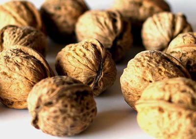 Nueces/California: Envíos a Turquía se han quintuplicado respecto a la temporada anterior