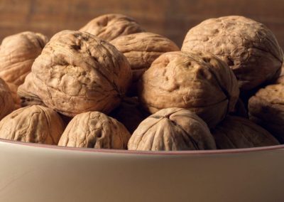Nueces/Ucrania: Baja de rendimientos, climatología adversa y errores tecnológicos provocan pérdida de competitividad en mercados mundiales