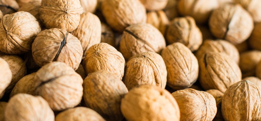 Nueces: China se posiciona como segundo proveedor más importante de la Unión Europea