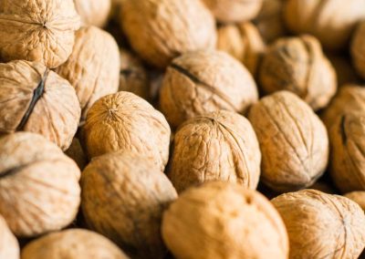 Nueces: China se posiciona como segundo proveedor más importante de la Unión Europea