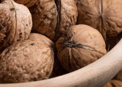 Moldavia/Nueces: El 86% de las exportaciones se destinan a países de la Unión Europea